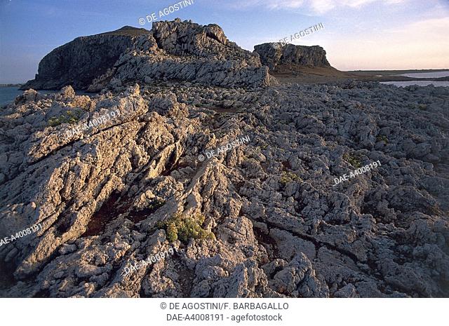 Italy - Sicily Region - Egadi Islands - Favignana Island - Limestone rocks on the oriental side