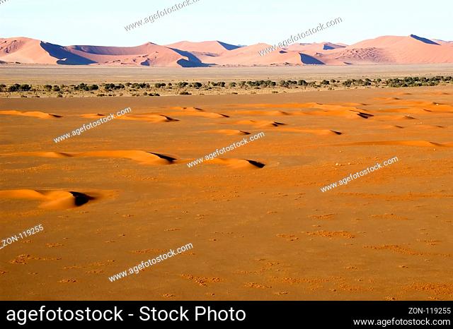 A large even with small red dunes changes into the big red namib desert dunes