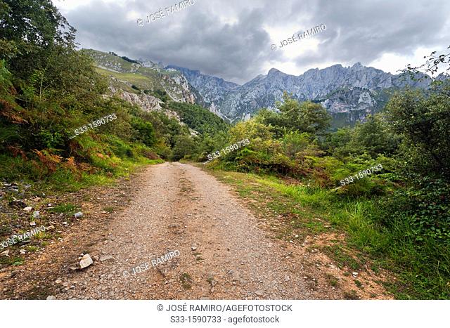 The Arredondas road in the Cordillera Cantábrica  Brez  Santander  Cantabria  Spain