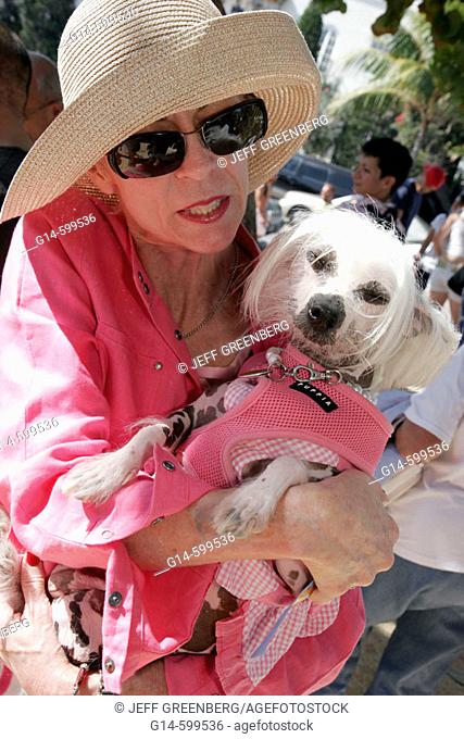South Beach Dachshund Winterfest, dog, pet, owner, eccentric woman, pink outfit. Lummus Park, Miami Beach, Florida, (USA)