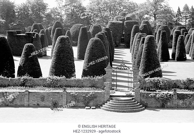 Yew Garden, Packwood House, Lapwood, Warwickshire, 1945-1980. Packwood House is famous for its striking yew topiary garden