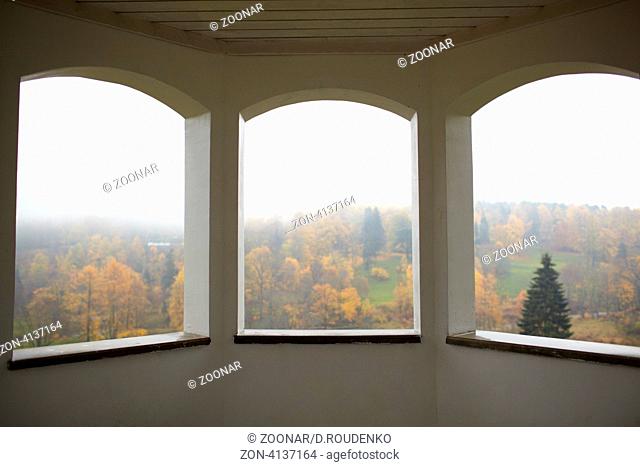 Autumn forest and fog. View from the summerhouse windows. Toila, Estonia