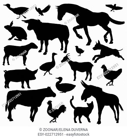 Set of farm animals silhouette