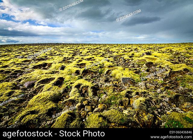 Moss covered landscape with far view to horizon and sky with clouds. Iceland