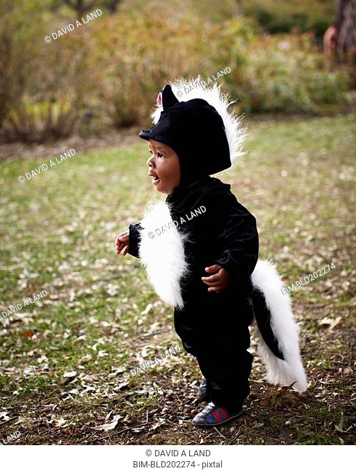 African American baby in skunk costume