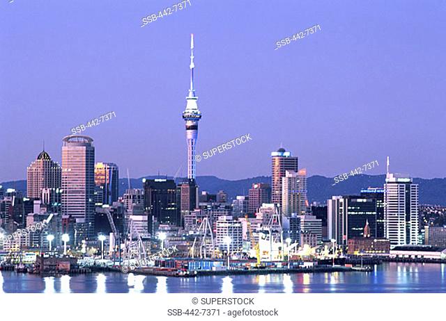 City Skyline, Auckland, North Island, New Zealand