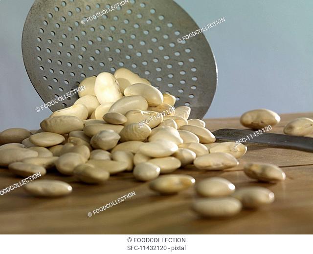 Large white beans with a draining spoon