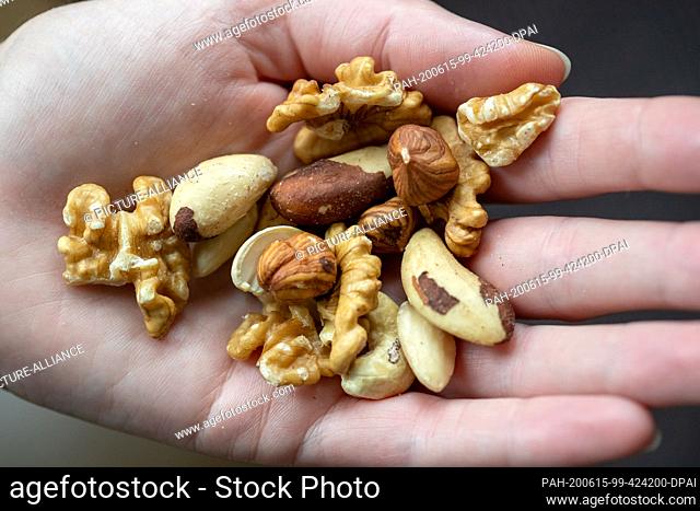 14 June 2020, Bavaria, Nuremberg: ILLUSTRATION - Hazelnut, Brazil nut, walnut, almond and cashew kernels are in one hand