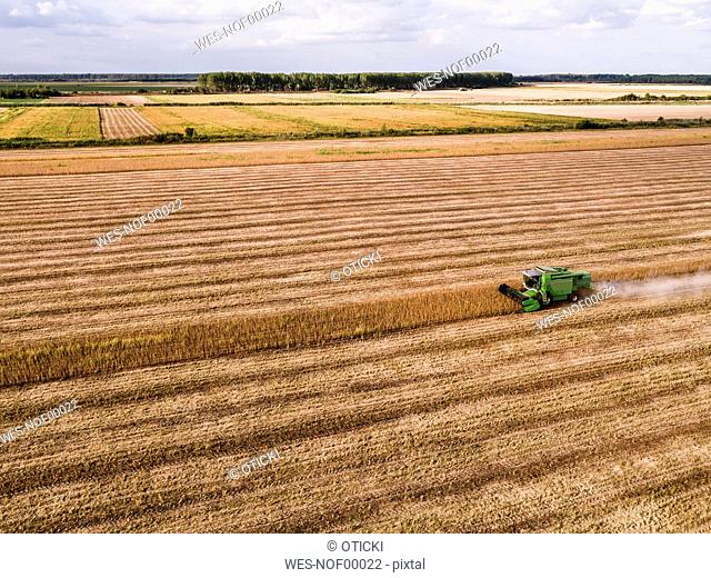 Serbia, Vojvodina, Combine harvester on a wheat, aerial view