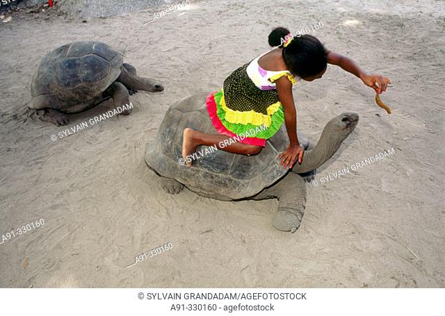 Giant turtle. La Digue Island. Seychelles archipelago. Indian Ocean