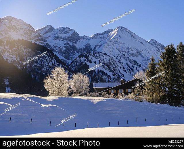 Valley of river Stillach, view towards Mt. Trettachspitze, Mt. Maedelegabel and Mt. Hochfrottspitze . The Allgaeu Alps (Allgaeuer Alpen) near Oberstdorf during...