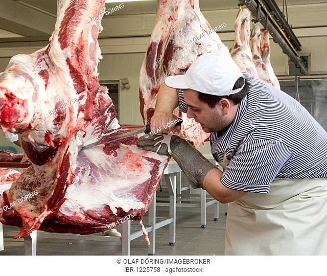 Master butcher carving store ready beef hindquarters, master school, apprenticeship training position at Frischezentrum e.V