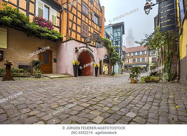 scenic lane of the tourist destination Riquewihr, village of the Alsace Wine Route, France, cobblestone lane with vine and flower decoration in the autumn