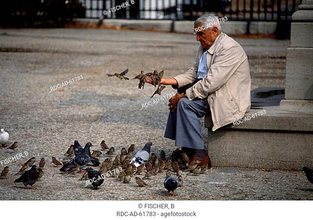 Old man feeding pigeons and sparrows Jardin des Plantes Paris France