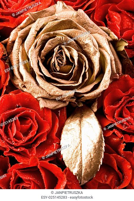 Romantic roses, wonderful springtime vivid theme