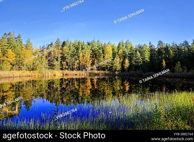 Small marshland lake Kolmperä in Salo, South of Finland, in vibrant autumnal colours on a beautiful day of late September 2021