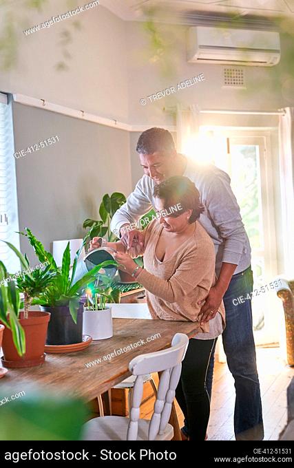 Affectionate mature couple watering houseplants