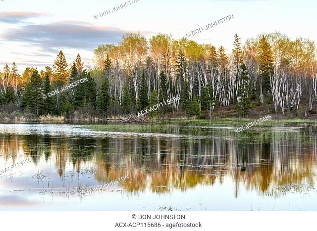 Sunset skies reflected in a beaver pond, Greater Sudbury, Ontario, Canada