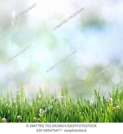 Beauty summer day on the smokey meadow, environmental backgrounds