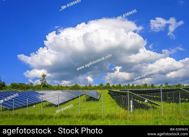 cloud (Cumulus), cumulus (Cu), and photovoltaic plant with protective fence, also PV plant, near Kempten, Allgäu, Bavaria, Germany, Europe