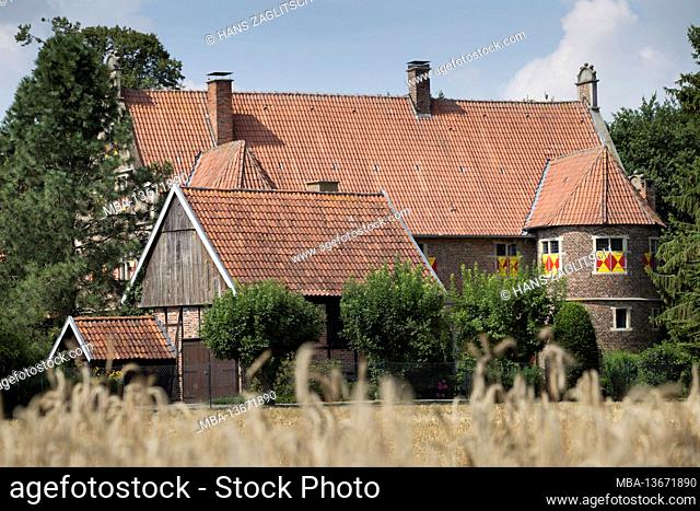 House Bynk, Muensterland