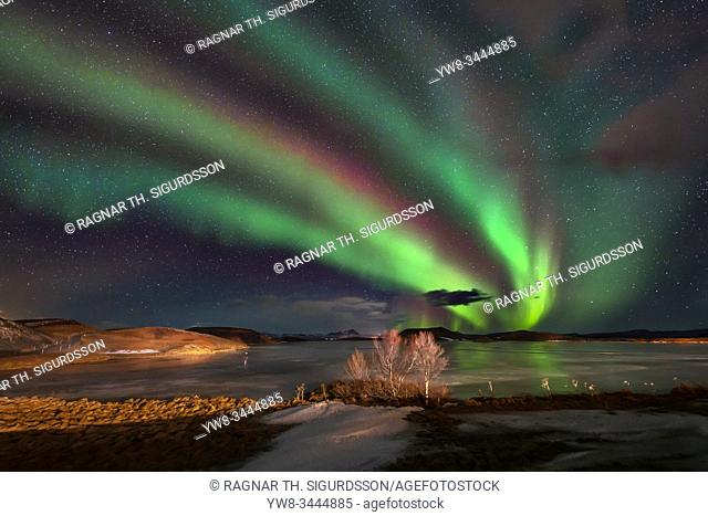 Aurora Borealis, Lake Myvatn, Iceland