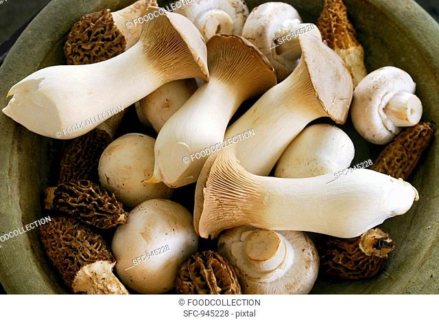 Assorted mushrooms in a bowl