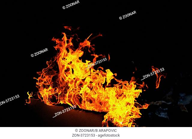 wild fire flames burn hot with black background