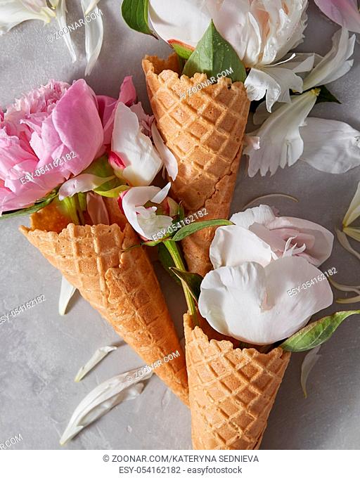 White and pink buds and petals of peonies in a waffle cone on a gray concrete background. Creative composition for the layout. Flat lay