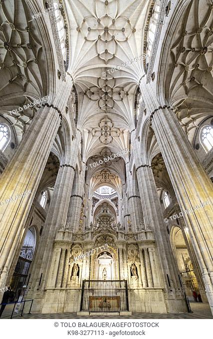 Catedral de la Asunción de la Virgen, Salamanca, comunidad autónoma de Castilla y León, Spain