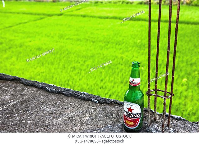 In the local area of Pemogan, rice patties can be seen in the backyards around town, Bali, Indonesia