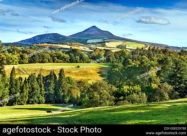 View of Old Long Hill in Wicklow Mountains from Powerscourt park, Ireland