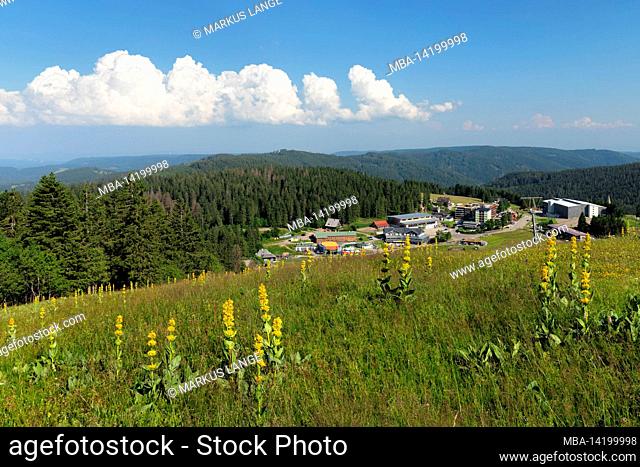 View from the Feldberg to the Feldberger Hof and to the House of Nature, Southern Black Forest, Baden-Württemberg, Germany
