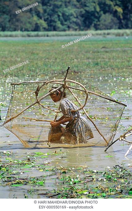 Tharu tribal fishing , Dudhwa , Uttar Pradesh , India
