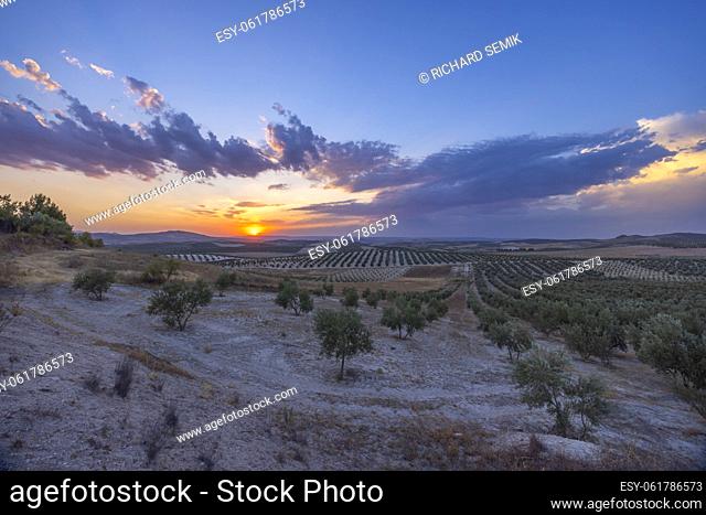 typical Andalusian landscape during sunset, Spain