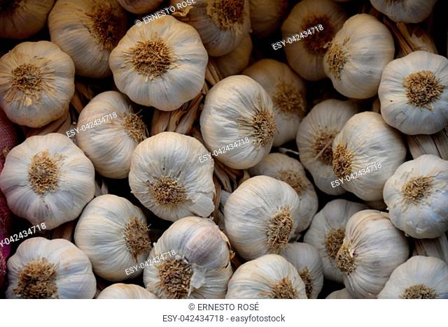 garlic, at the weekly market in Spain, Logroño, La Rioja