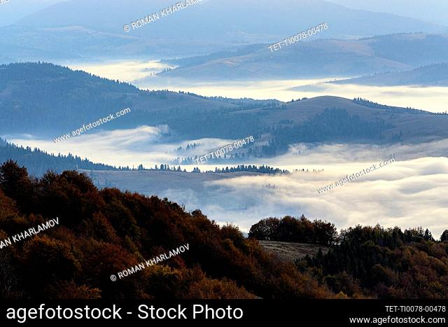 Ukraine, Zakarpattia region, Carpathians, Borzhava, Fog over mountain landscape