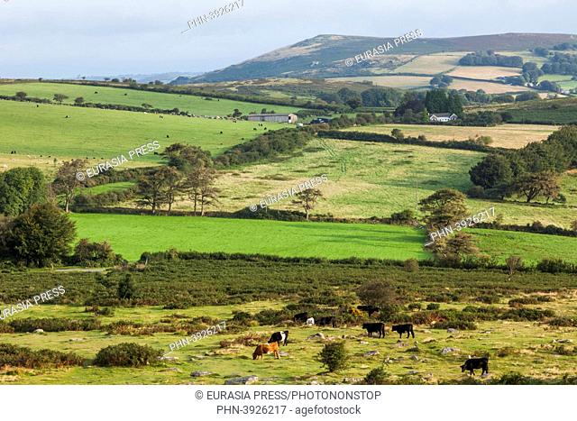 England, Devon, Dartmoor, Hound Tor, View of Dartmoor from Hound Tor