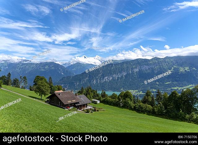Landscape with Lake Thun, in the background the Bernese triumvirate Eiger, Mönch and Jungfrau, Beatenberg, Bernese Oberland, Switzerland, Europe