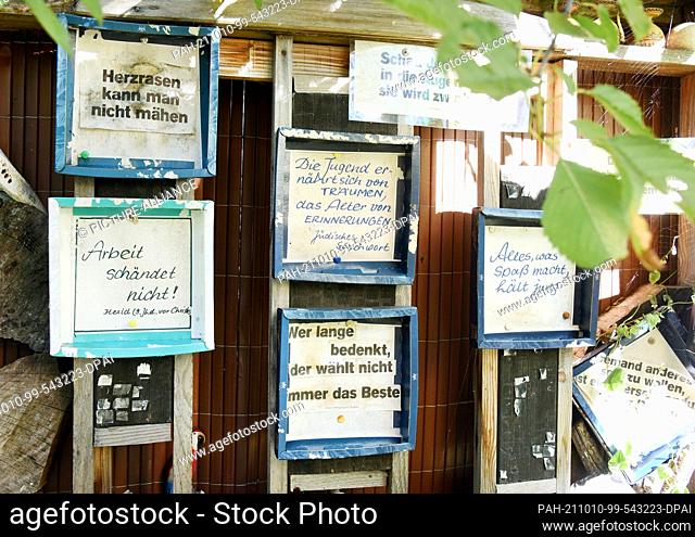 02 October 2021, Saxony, Leipzig: A wooden wall with sayings and collectibles stands as an eye-catcher in Hundt's park. Since 1981