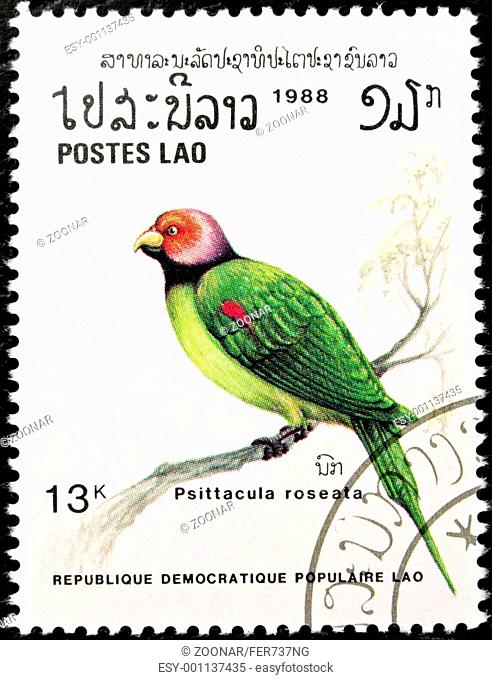 Blossom-headed Parakeet bird stamp