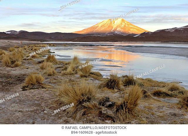 Laguna Hedionda is a saline lake in the Nor Lípez Province, Potosí Department in Bolivia. It is notable for various migratory species of pink and white...