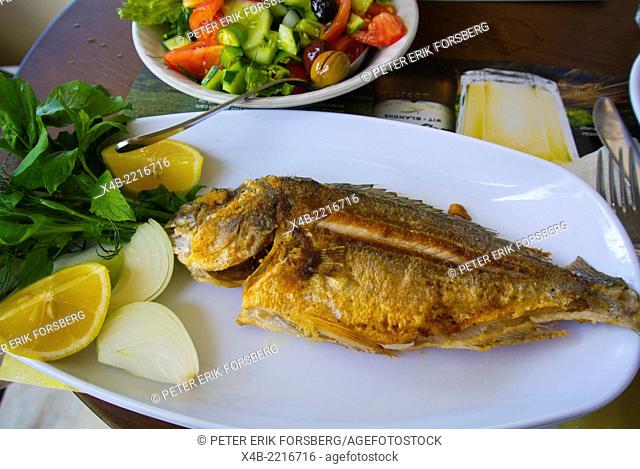 Grilled fish, Marmaris, Mugla province, Turkey, Asia Minor