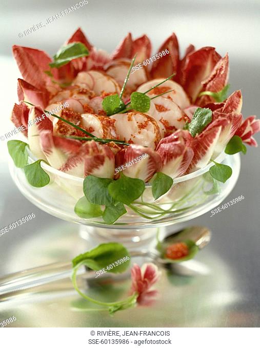 Red chicory and lobster salad