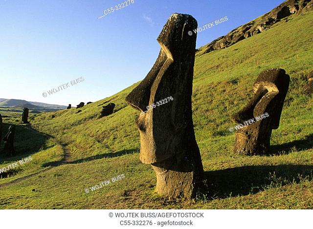 Moai quarry. Ranu Raraku. Easter Island. Chile