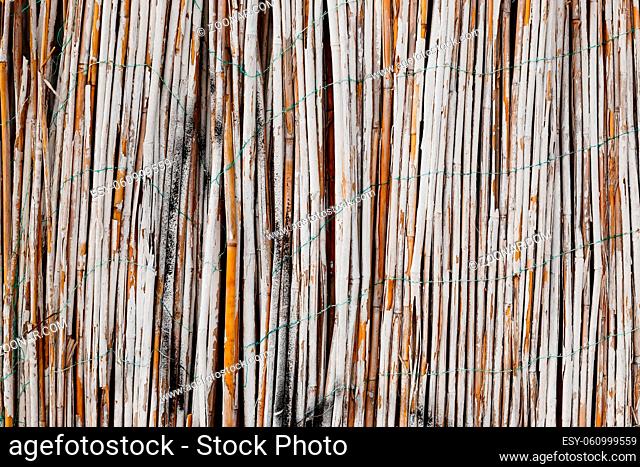 White painted bamboo fence. Close-up of bamboo texture. Wooden background from natural materials. High quality photo