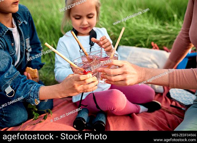 Mother and children toasting infused water glasses on picnic in field