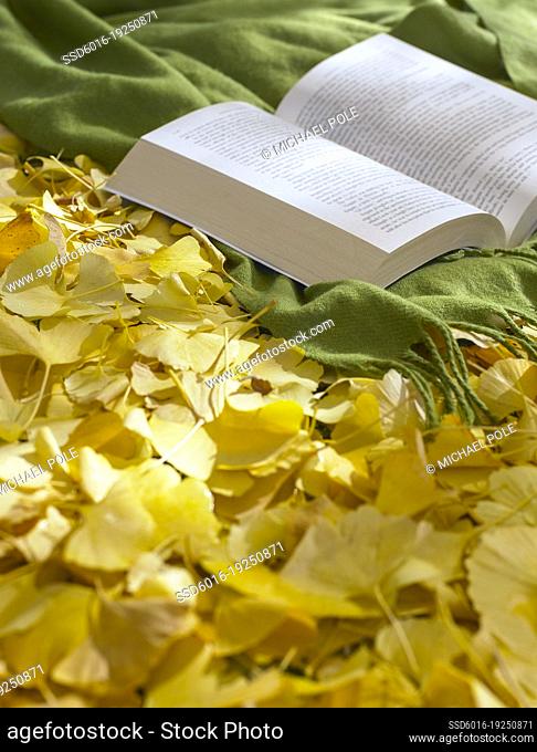 Abandoned rug and book resting on golden ginko leaves in the garden