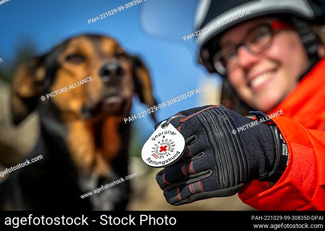 29 October 2022, Saxony, Aue-Bad Schlema: ""Certified rescue dog"" is written on a badge that shows rescue dog handler Anja Gutknecht during a training session...