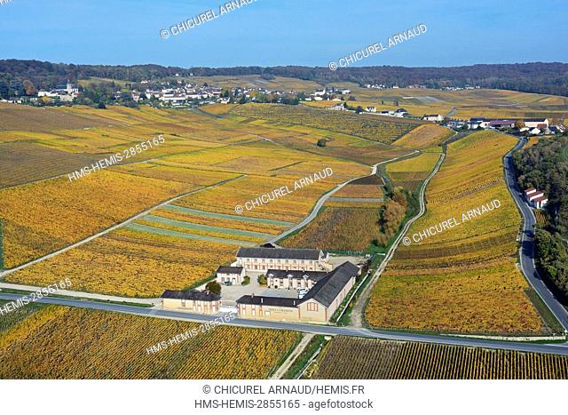 France, Marne, Hillsides of Champagne listed as World Heritage by UNESCO, Hautvillers, Moët et Chandon estate (aerial view)